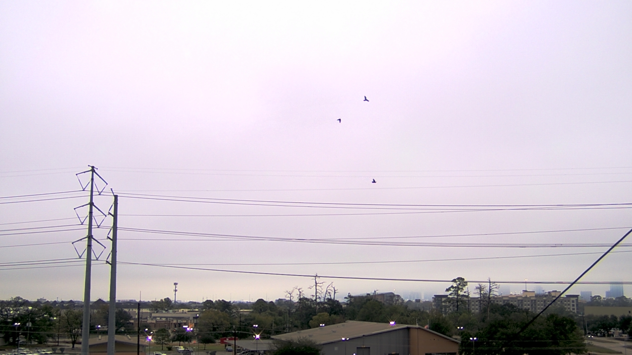 Thumbnail for current weather camera view from Harris County OHSEM in Houston, Texas