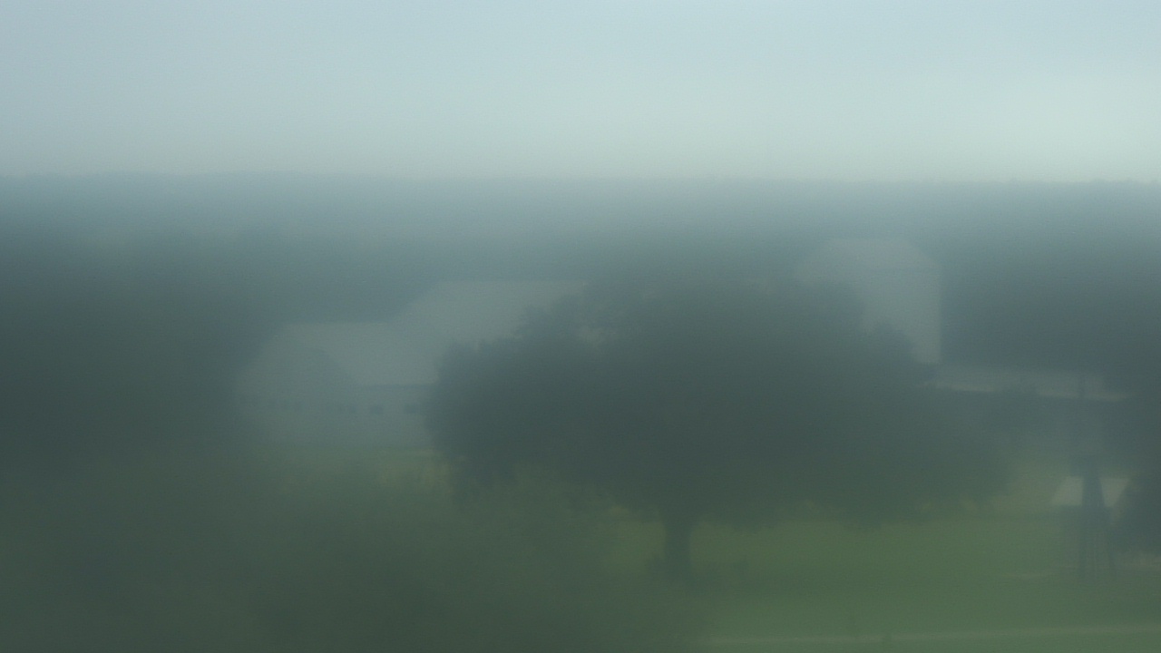 Thumbnail for current weather camera view from Camp For All in Burton, Texas