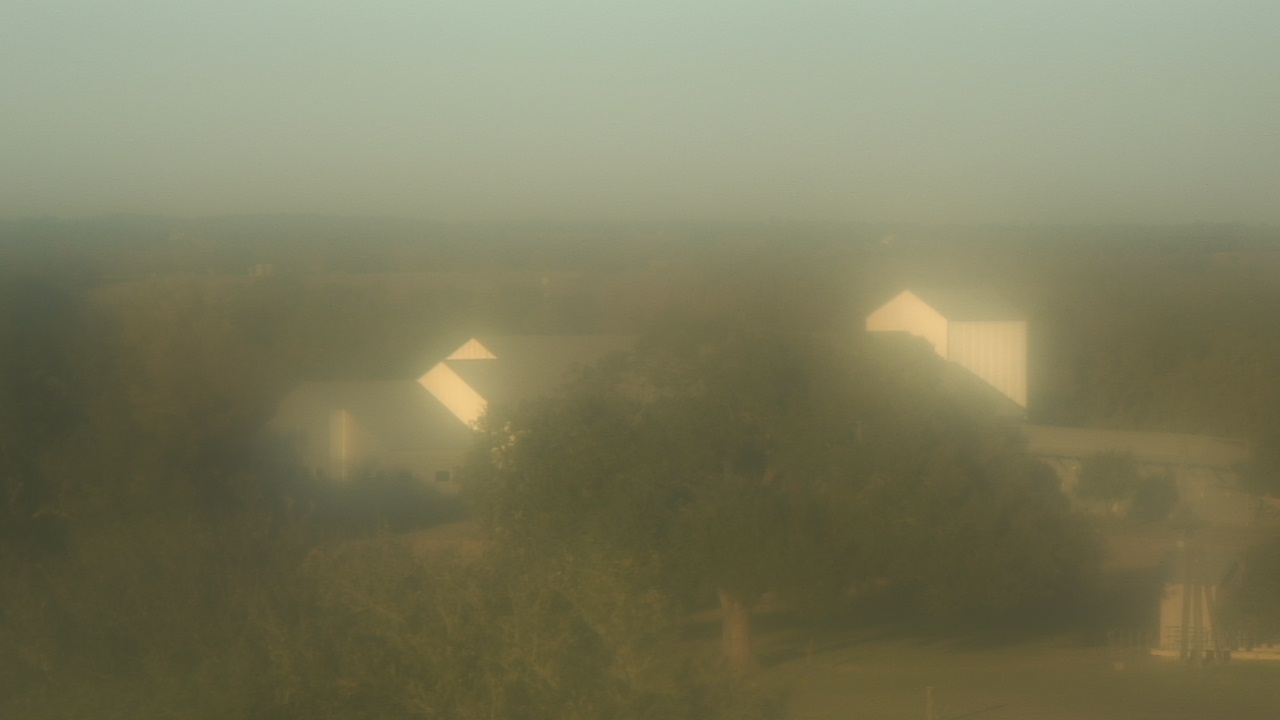 Thumbnail for current weather camera view from Camp For All in Burton, Texas