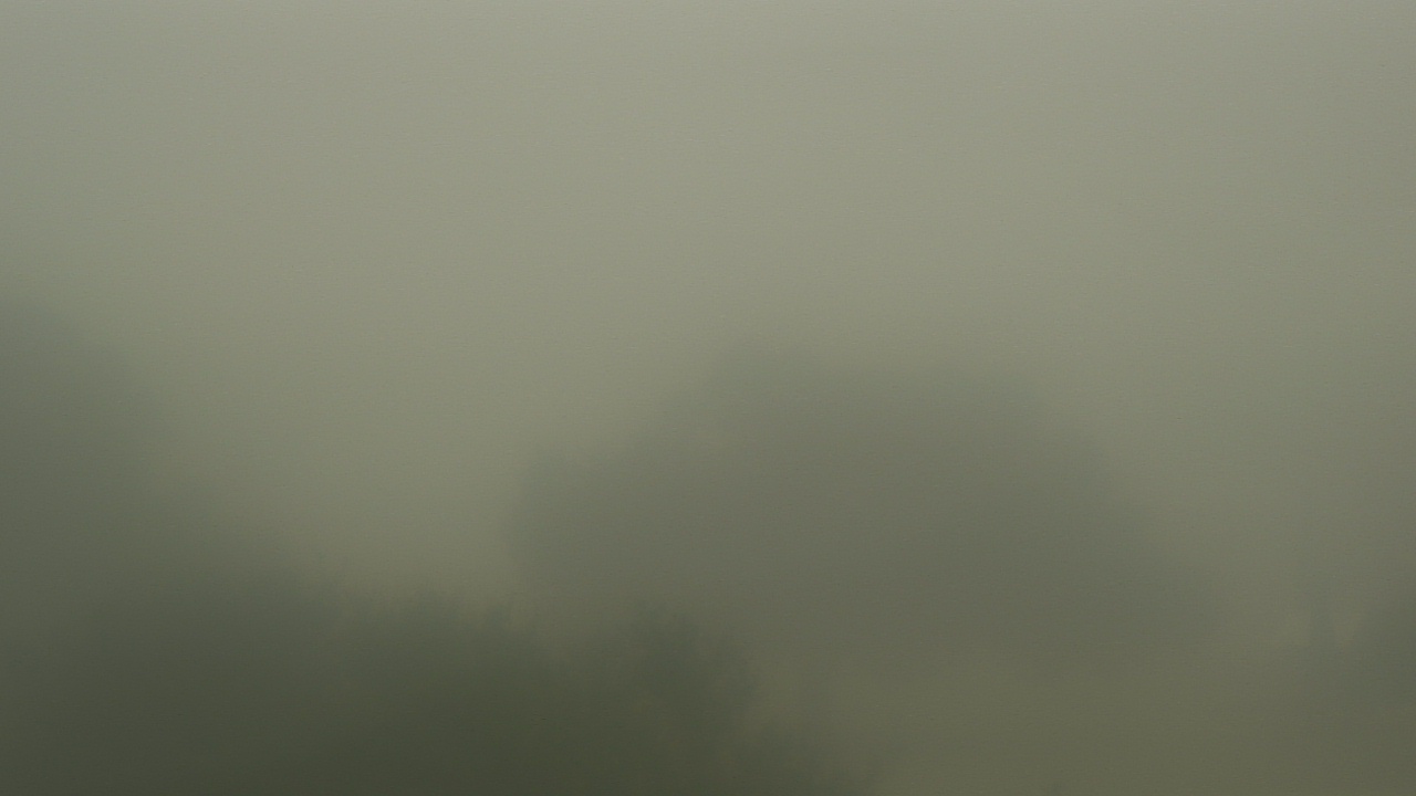 Thumbnail for current weather camera view from Camp For All in Burton, Texas