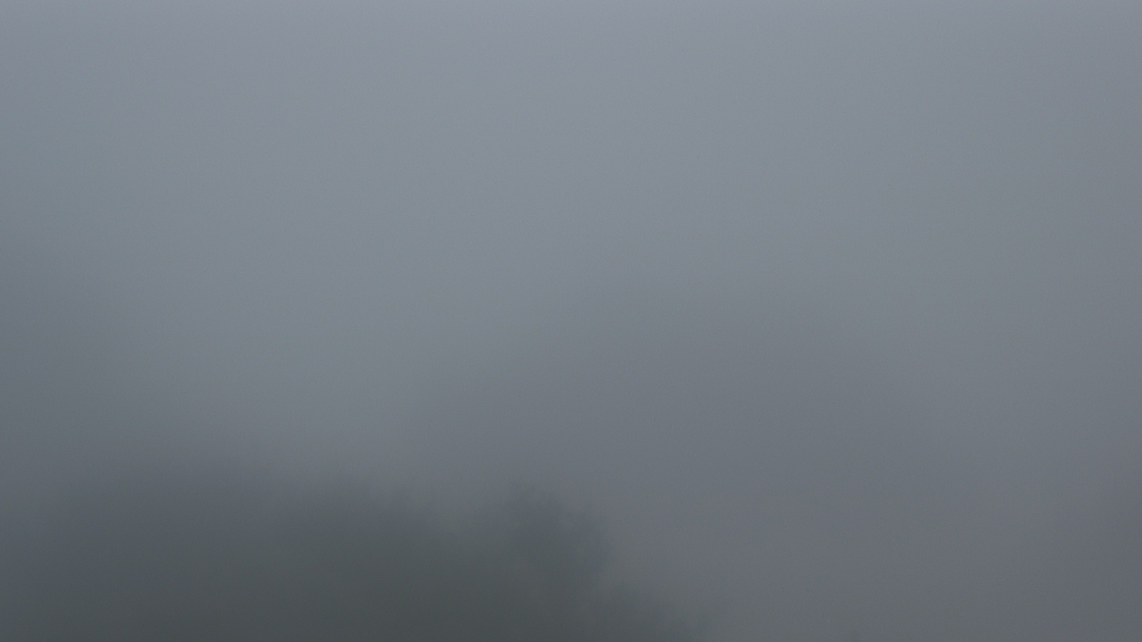 Thumbnail for current weather camera view from Camp For All in Burton, Texas