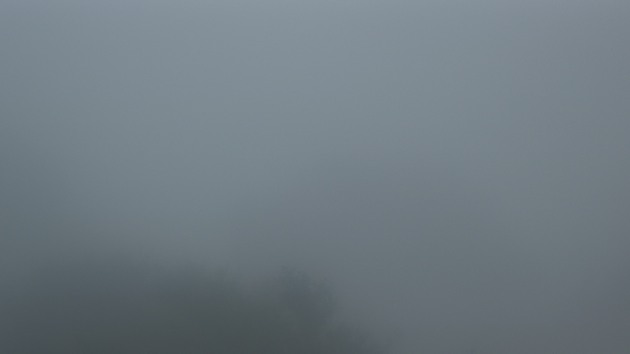 Thumbnail for current weather camera view from Camp For All in Burton, Texas