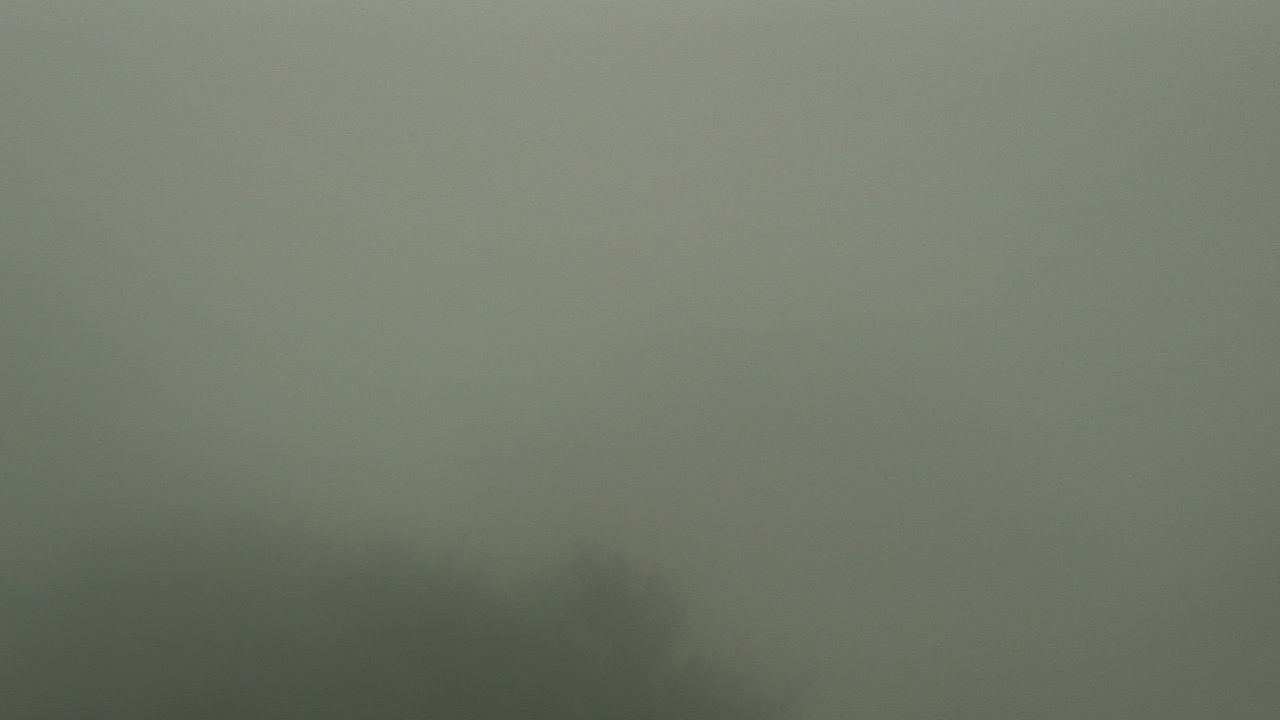 Thumbnail for current weather camera view from Camp For All in Burton, Texas