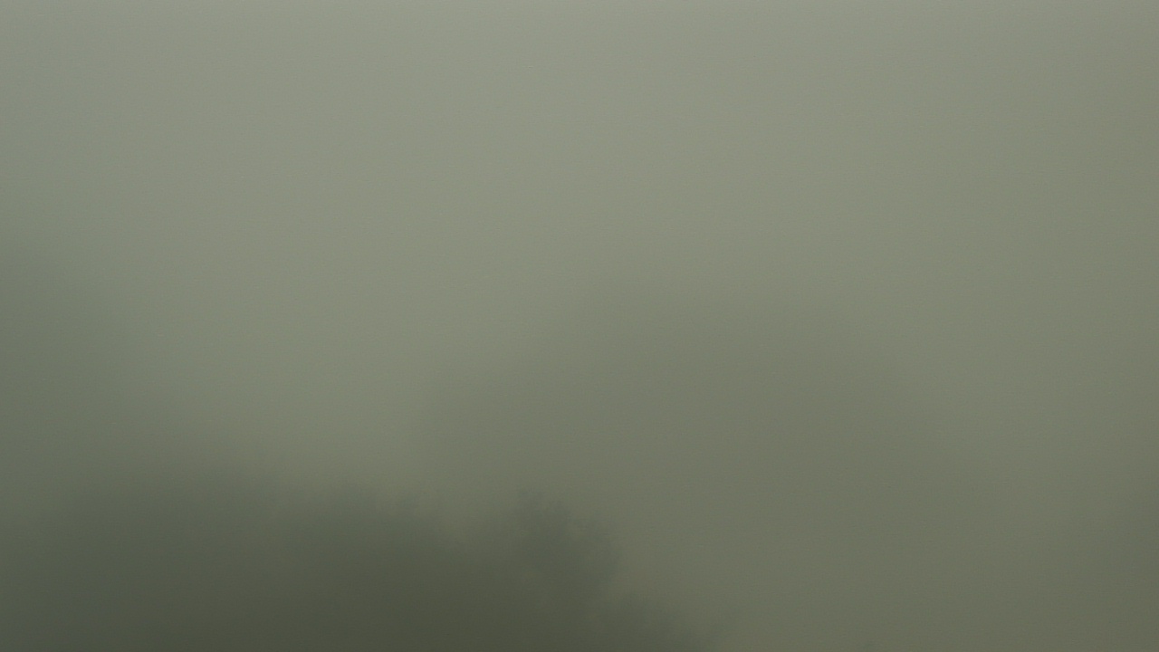 Thumbnail for current weather camera view from Camp For All in Burton, Texas