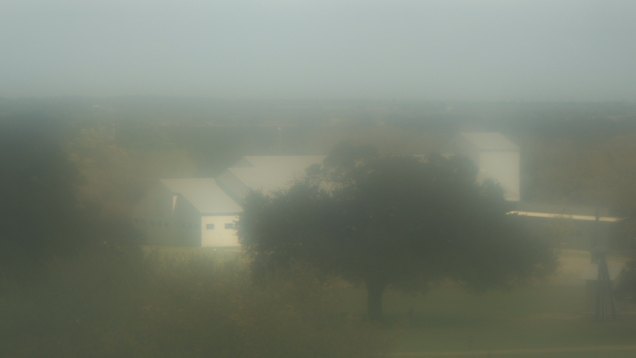 Thumbnail for current weather camera view from Camp For All in Burton, Texas