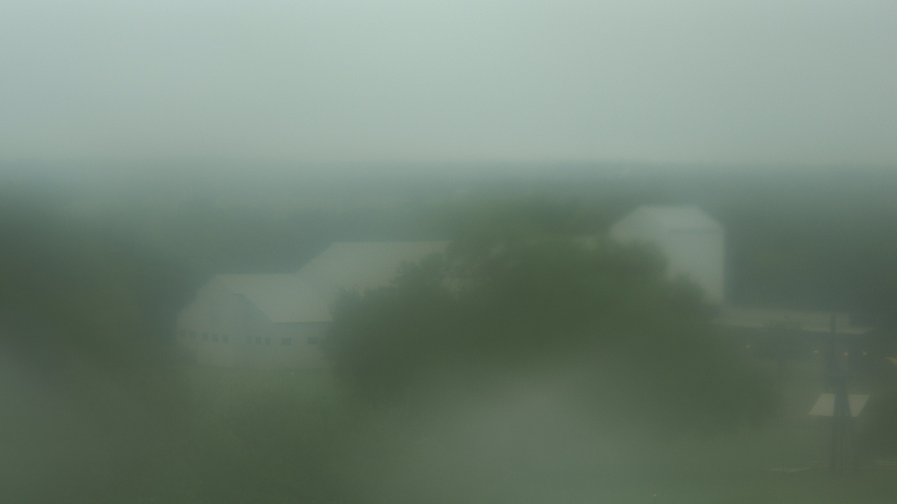 Thumbnail for current weather camera view from Camp For All in Burton, Texas