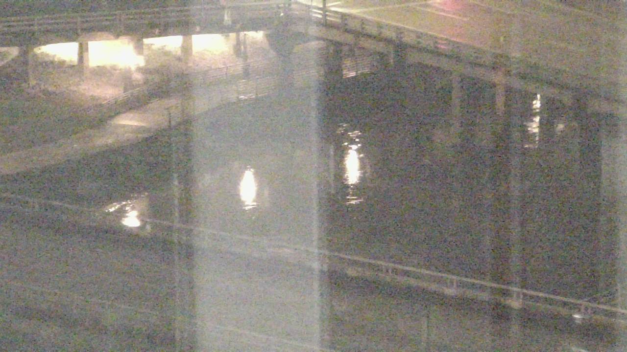 Thumbnail for current weather camera view from UH Downtown in Houston, Texas