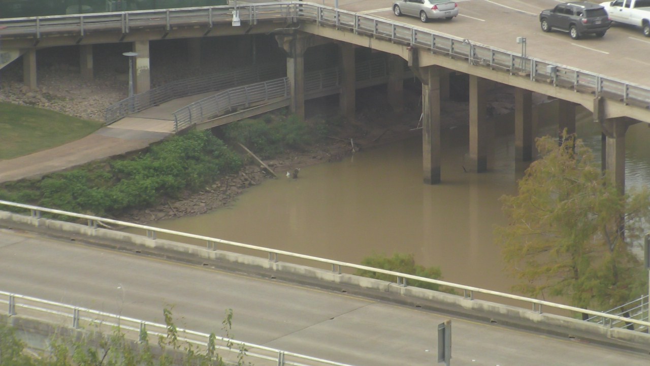 Thumbnail for current weather camera view from UH Downtown in Houston, Texas