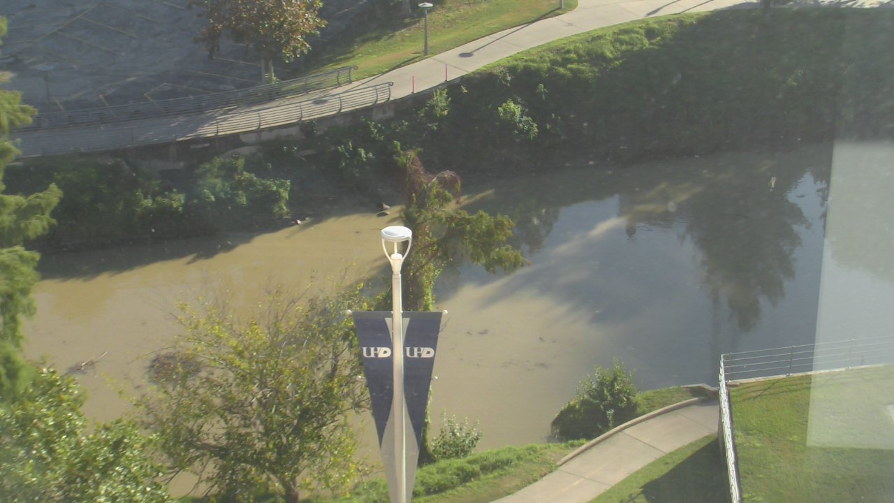 Thumbnail for current weather camera view from UH Downtown in Houston, Texas