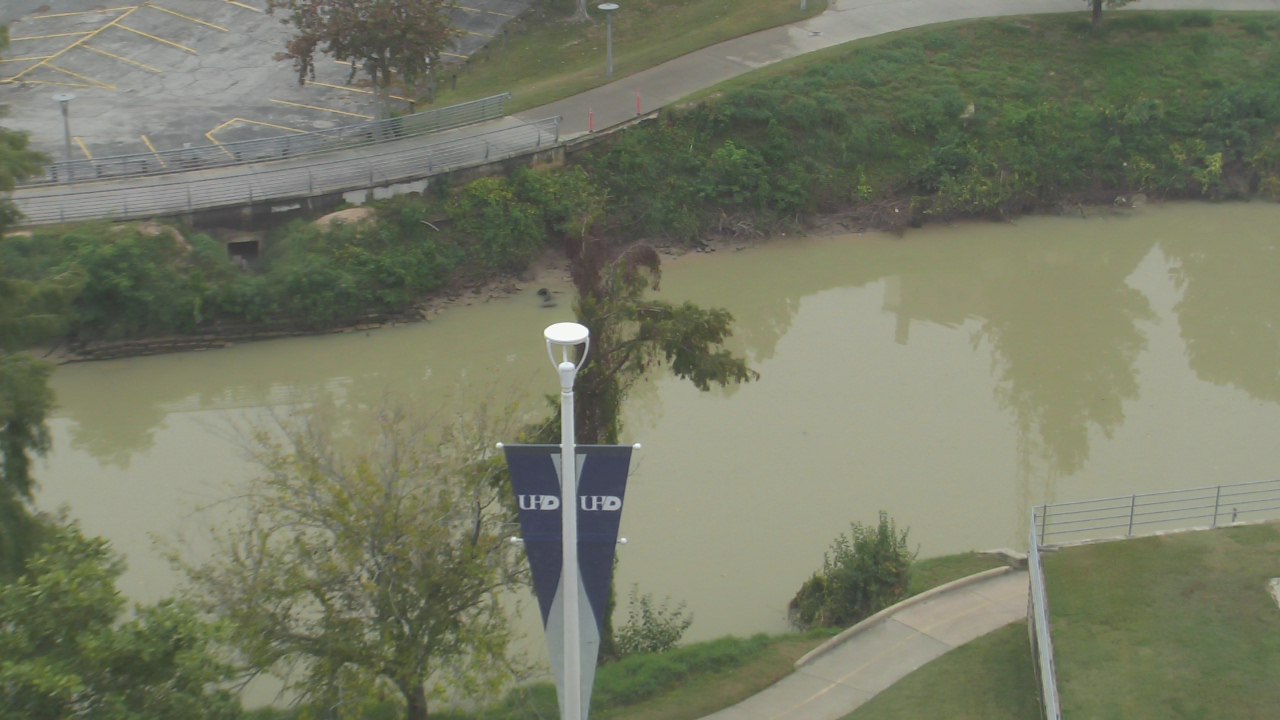 Thumbnail for current weather camera view from UH Downtown in Houston, Texas