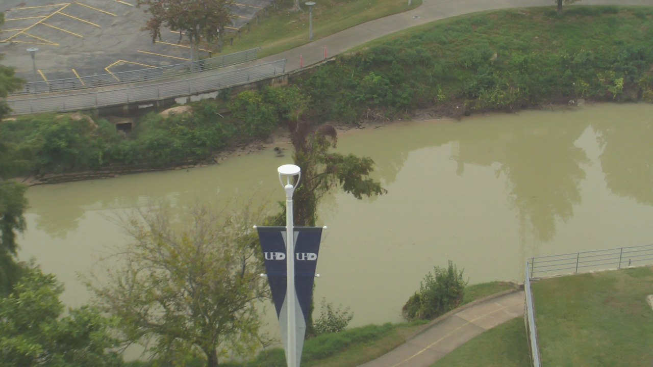 Thumbnail for current weather camera view from UH Downtown in Houston, Texas