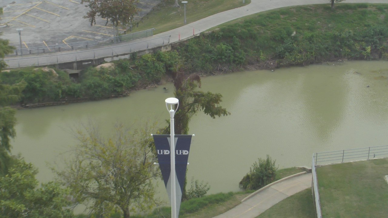 Thumbnail for current weather camera view from UH Downtown in Houston, Texas