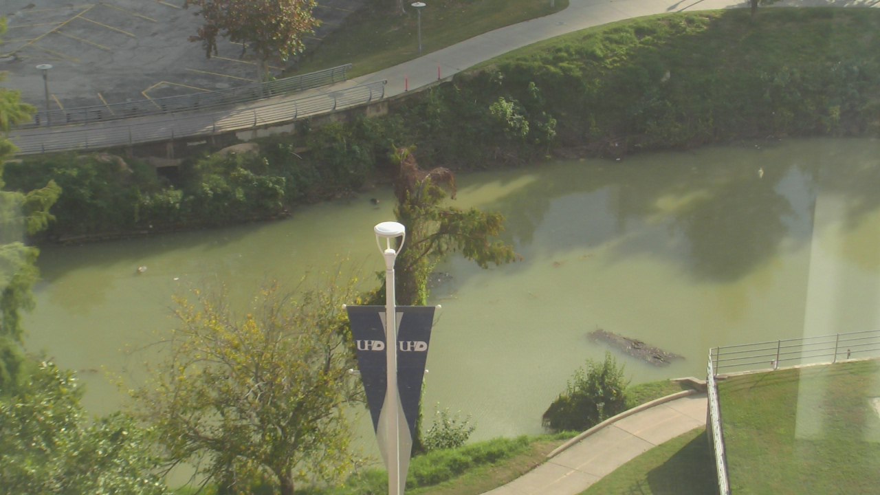 Thumbnail for current weather camera view from UH Downtown in Houston, Texas