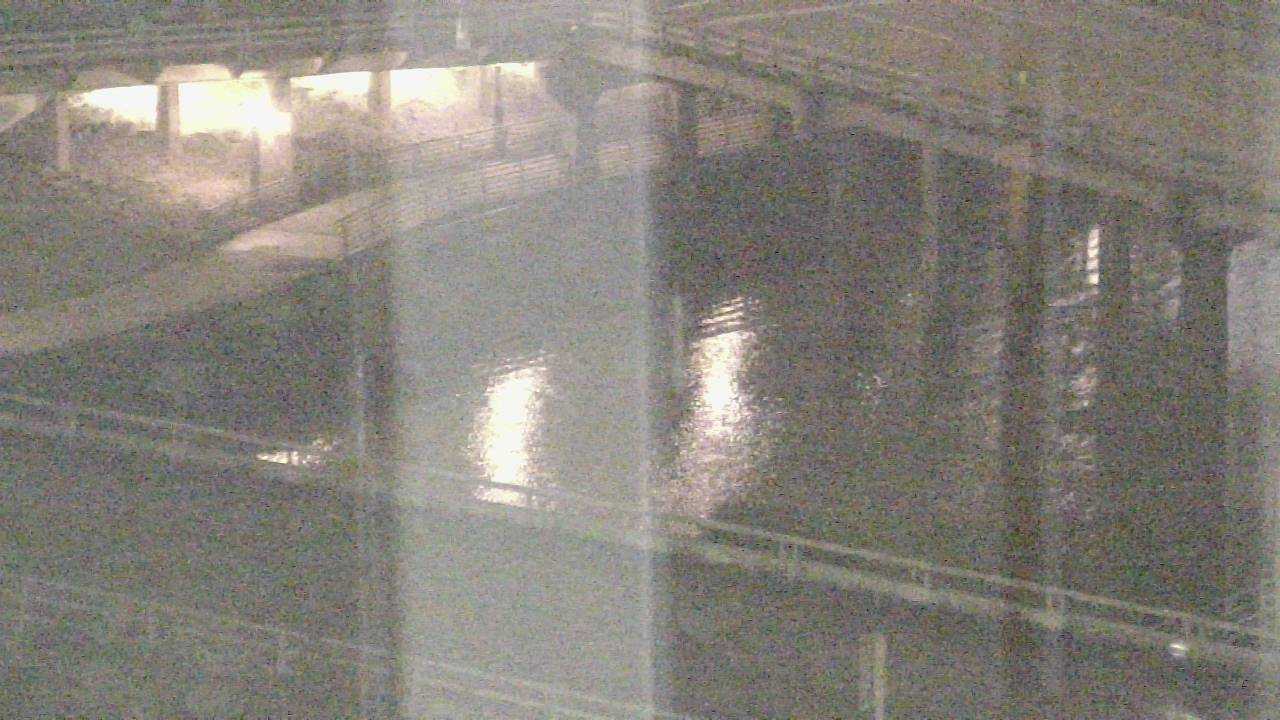 Thumbnail for current weather camera view from UH Downtown in Houston, Texas