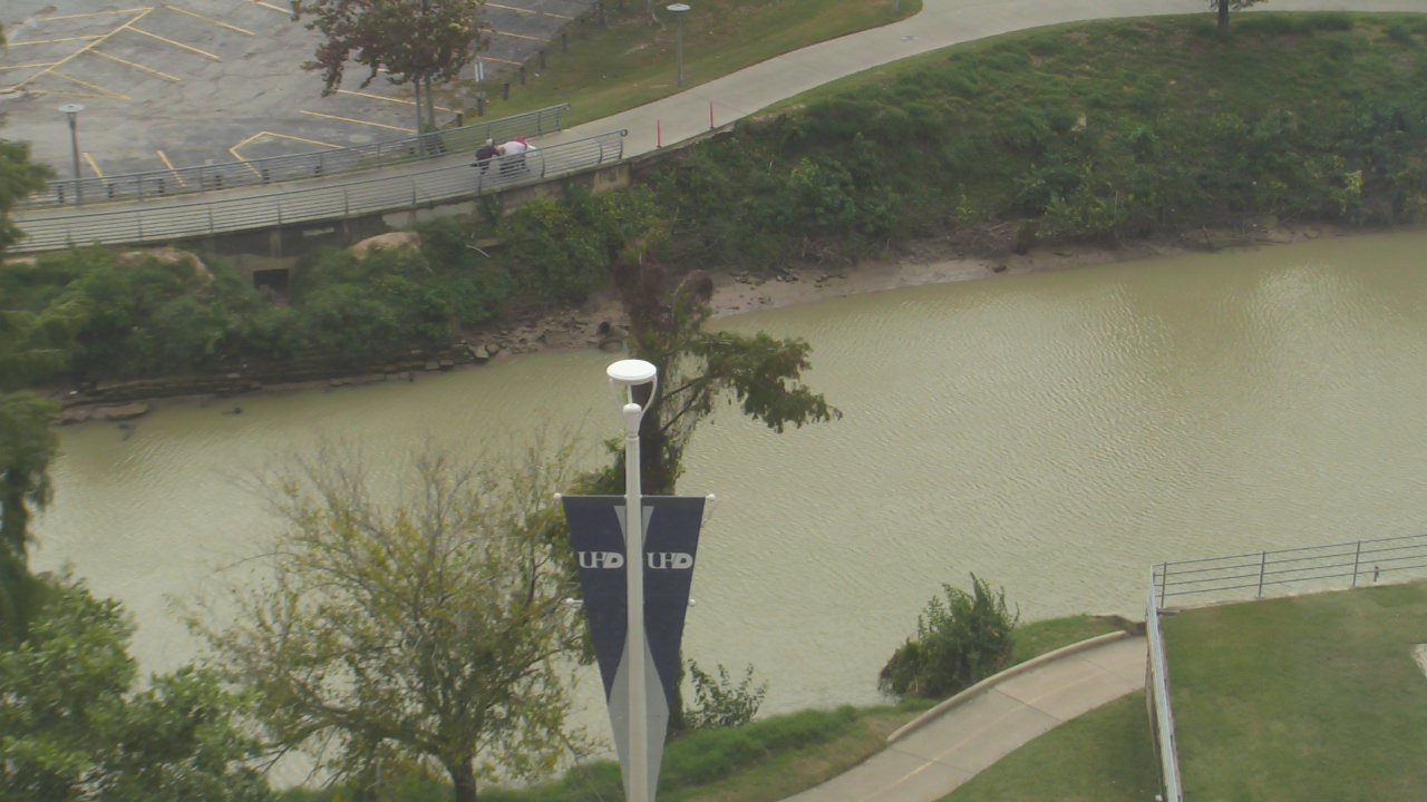 Thumbnail for current weather camera view from UH Downtown in Houston, Texas