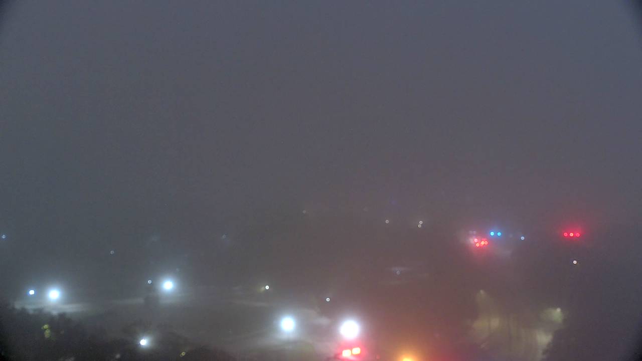 Thumbnail for current weather camera view from Hotel ZaZa in Houston, Texas