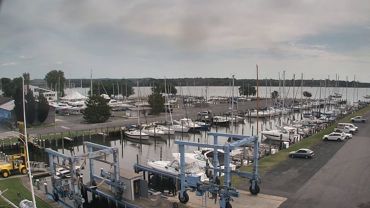 Thumbnail for current weather camera view from Tidewater Marina in Havre de Grace, Maryland