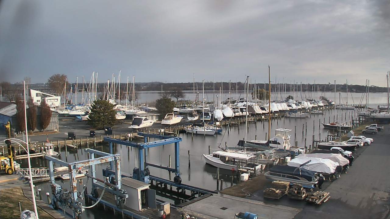 Thumbnail for current weather camera view from Tidewater Marina in Havre de Grace, Maryland