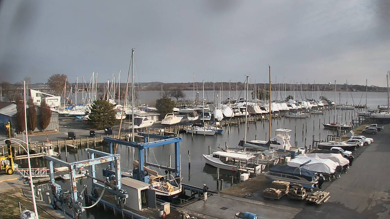 Thumbnail for current weather camera view from Tidewater Marina in Havre de Grace, Maryland