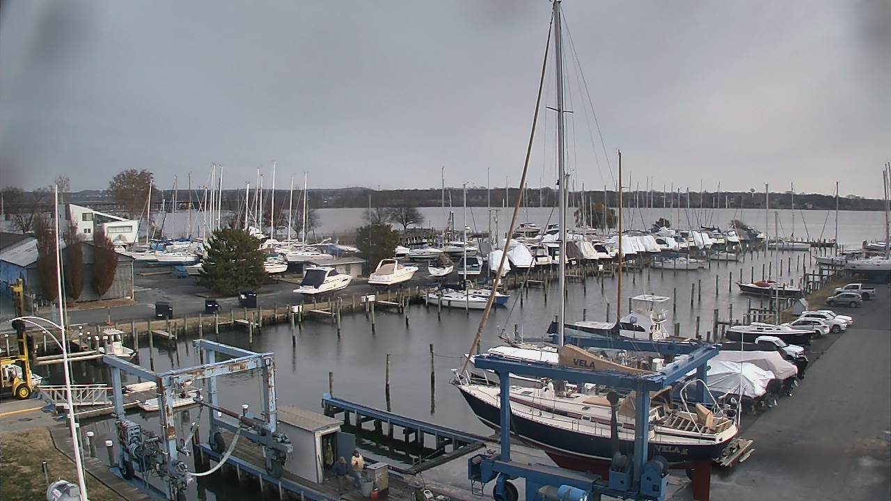 Thumbnail for current weather camera view from Tidewater Marina in Havre de Grace, Maryland