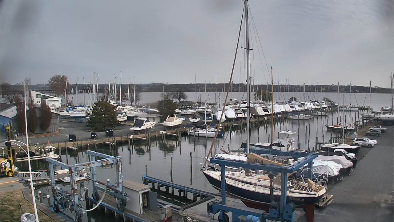 Thumbnail for current weather camera view from Tidewater Marina in Havre de Grace, Maryland