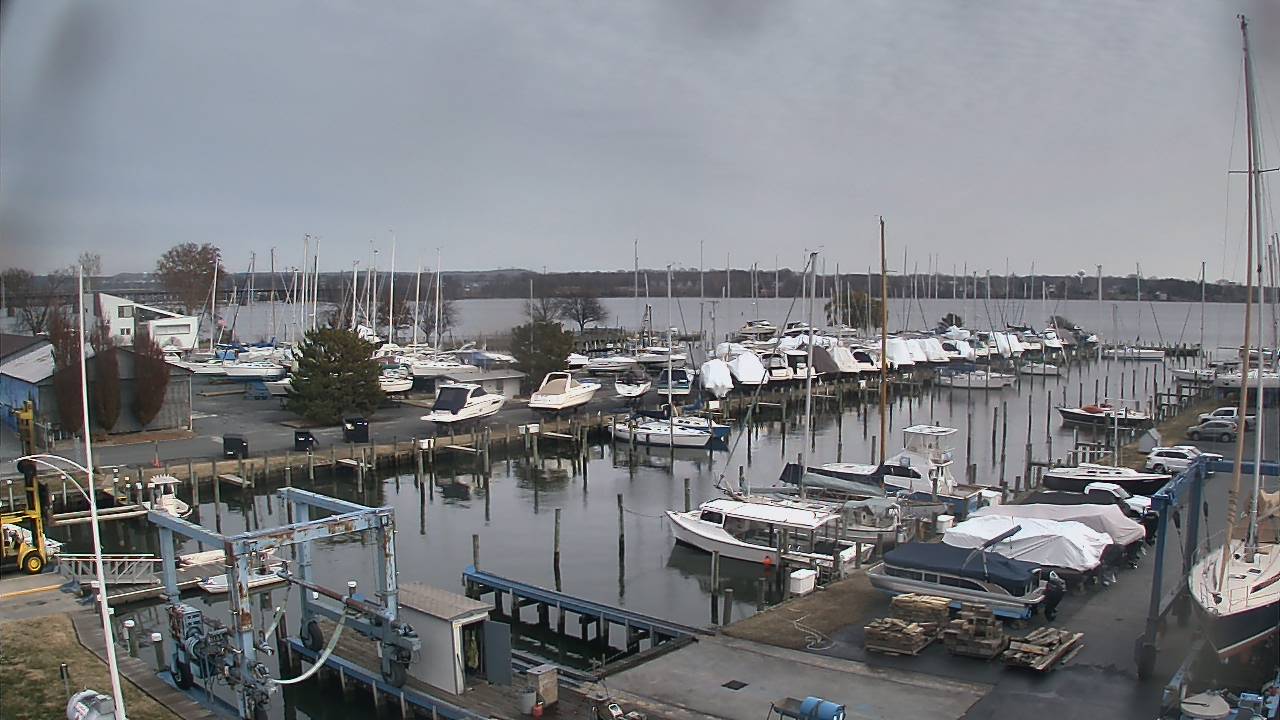 Thumbnail for current weather camera view from Tidewater Marina in Havre de Grace, Maryland
