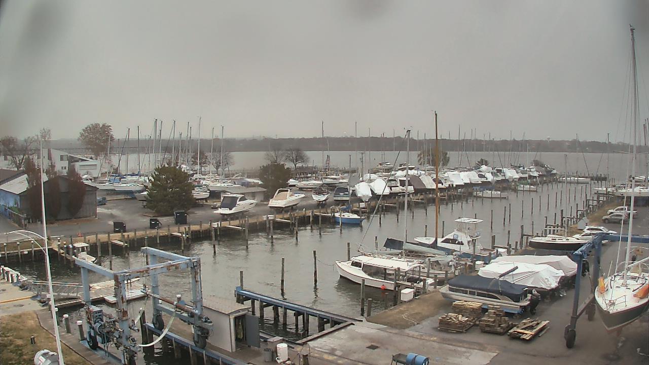Thumbnail for current weather camera view from Tidewater Marina in Havre de Grace, Maryland