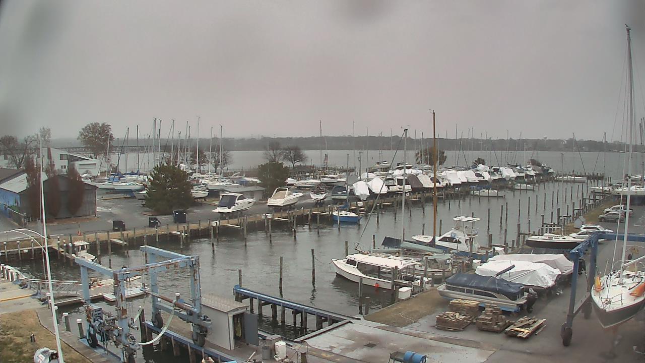 Thumbnail for current weather camera view from Tidewater Marina in Havre de Grace, Maryland