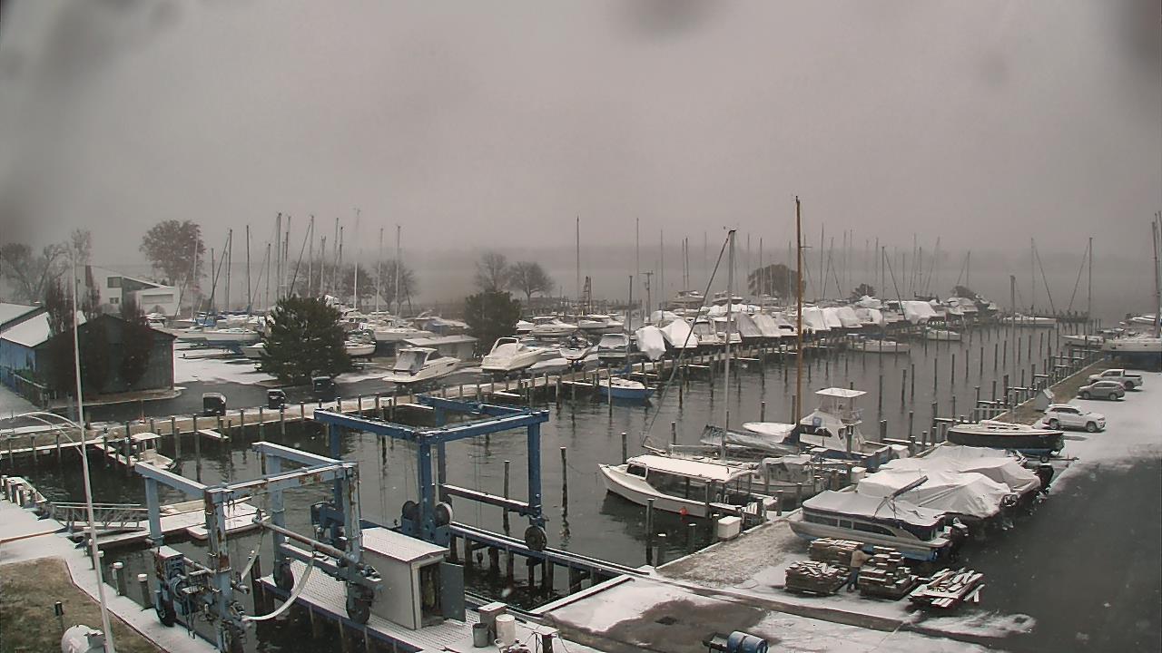 Thumbnail for current weather camera view from Tidewater Marina in Havre de Grace, Maryland