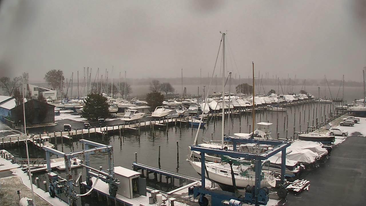 Thumbnail for current weather camera view from Tidewater Marina in Havre de Grace, Maryland