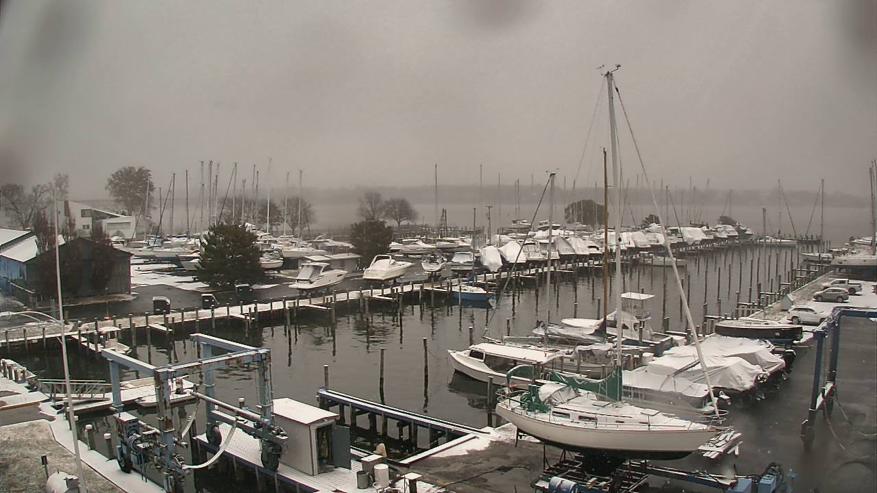 Thumbnail for current weather camera view from Tidewater Marina in Havre de Grace, Maryland