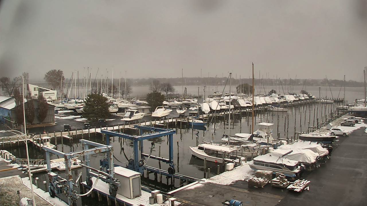 Thumbnail for current weather camera view from Tidewater Marina in Havre de Grace, Maryland
