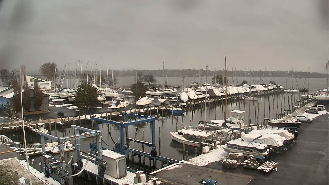 Thumbnail for current weather camera view from Tidewater Marina in Havre de Grace, Maryland
