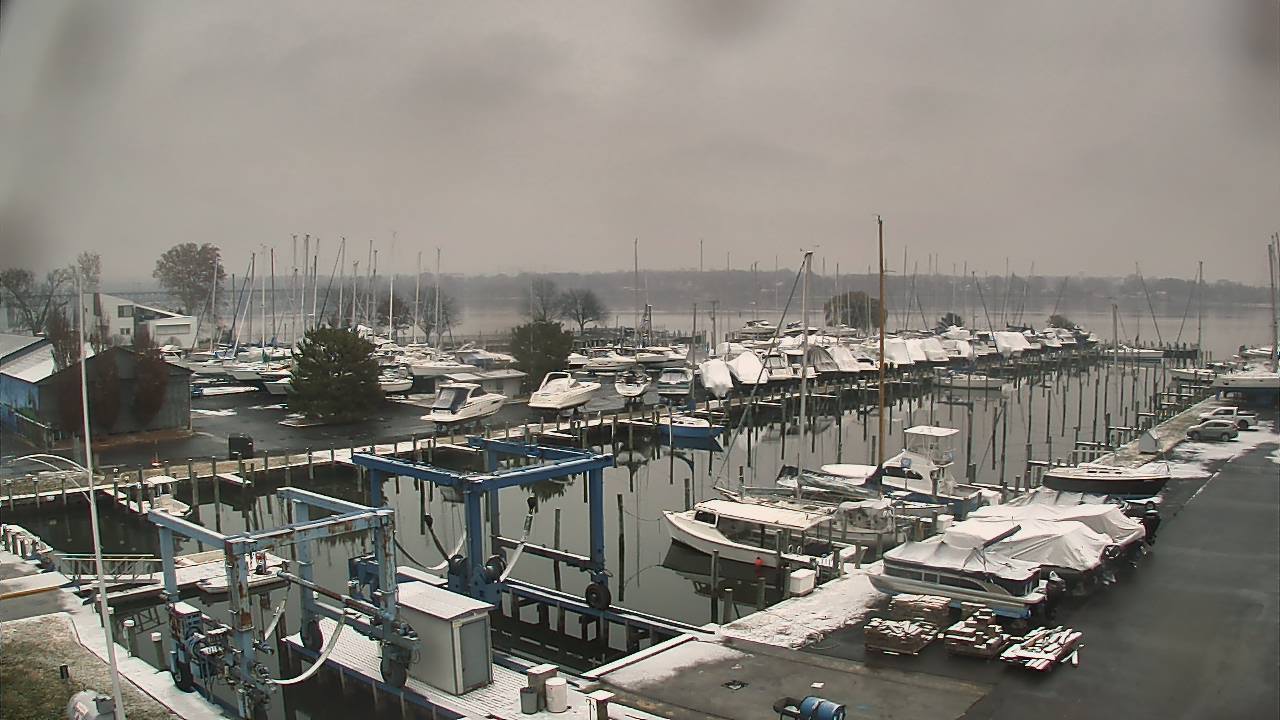 Thumbnail for current weather camera view from Tidewater Marina in Havre de Grace, Maryland