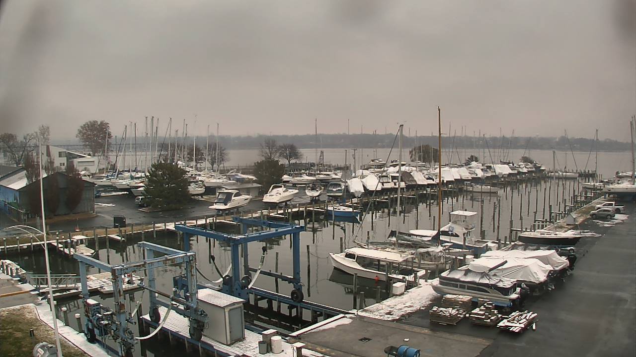 Thumbnail for current weather camera view from Tidewater Marina in Havre de Grace, Maryland