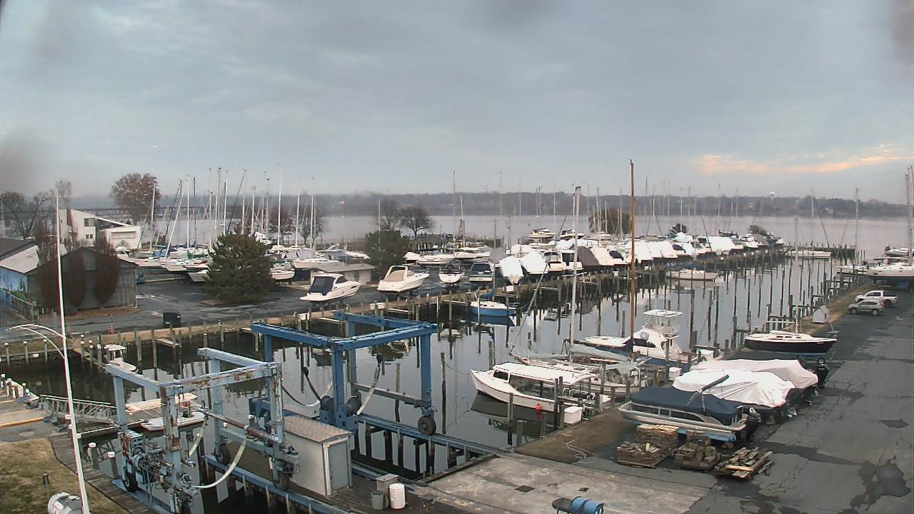 Thumbnail for current weather camera view from Tidewater Marina in Havre de Grace, Maryland