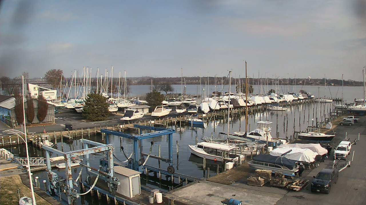 Thumbnail for current weather camera view from Tidewater Marina in Havre de Grace, Maryland