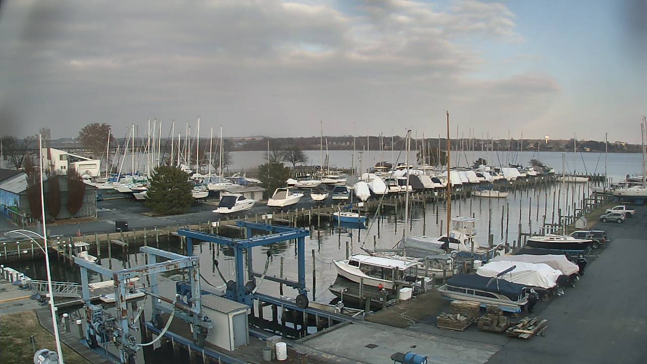 Thumbnail for current weather camera view from Tidewater Marina in Havre de Grace, Maryland