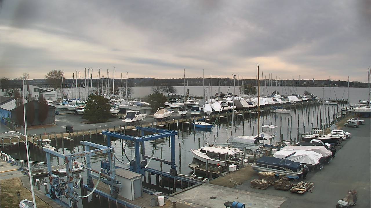 Thumbnail for current weather camera view from Tidewater Marina in Havre de Grace, Maryland