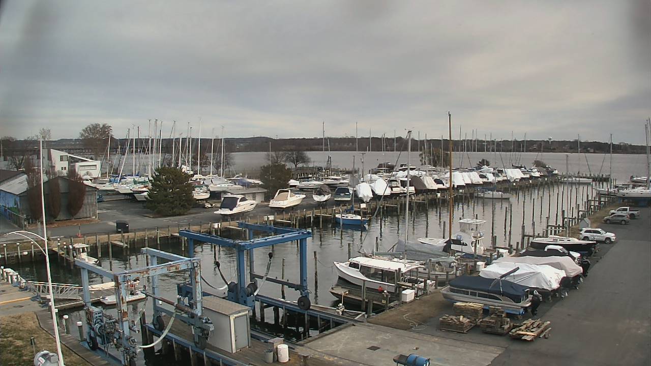 Thumbnail for current weather camera view from Tidewater Marina in Havre de Grace, Maryland