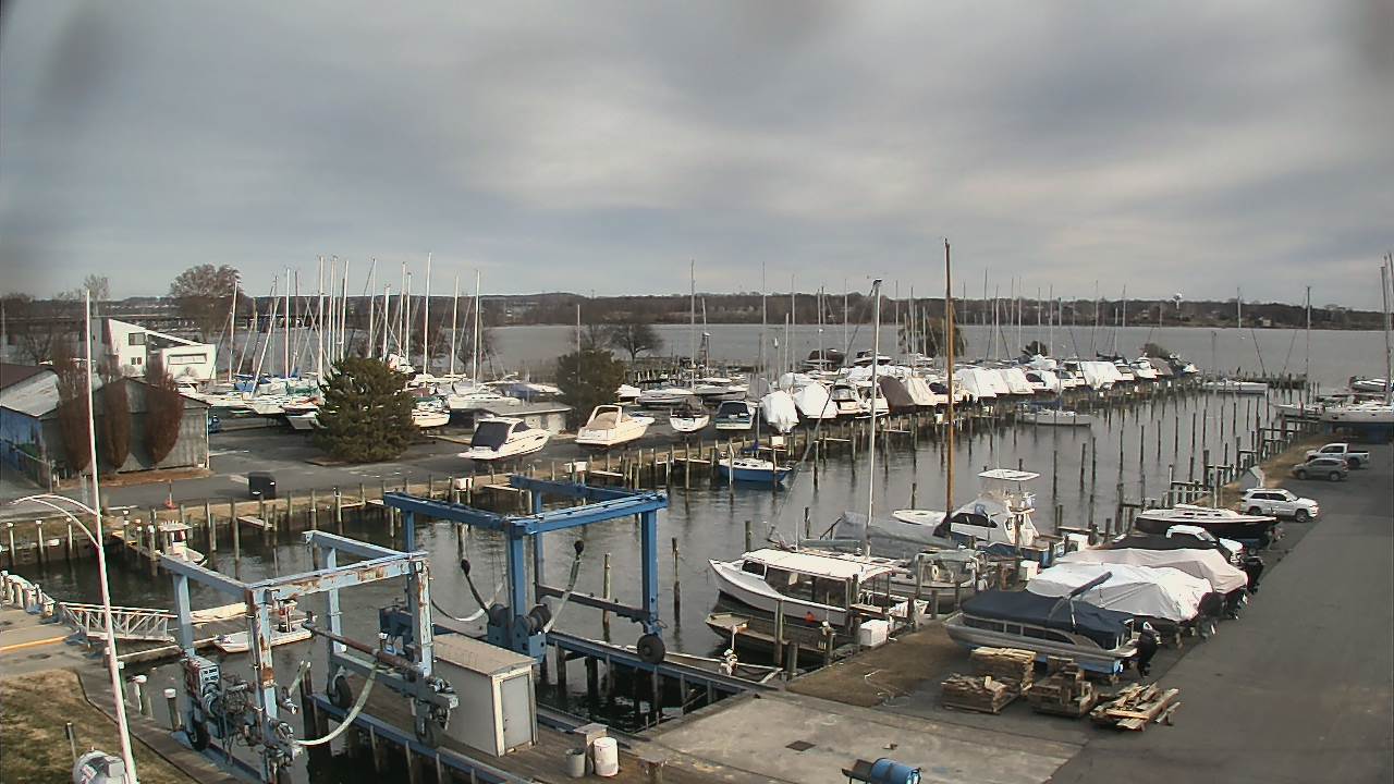 Thumbnail for current weather camera view from Tidewater Marina in Havre de Grace, Maryland