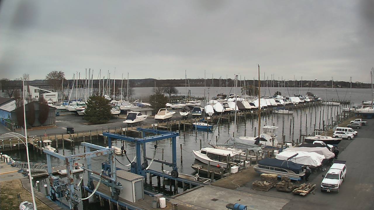 Thumbnail for current weather camera view from Tidewater Marina in Havre de Grace, Maryland
