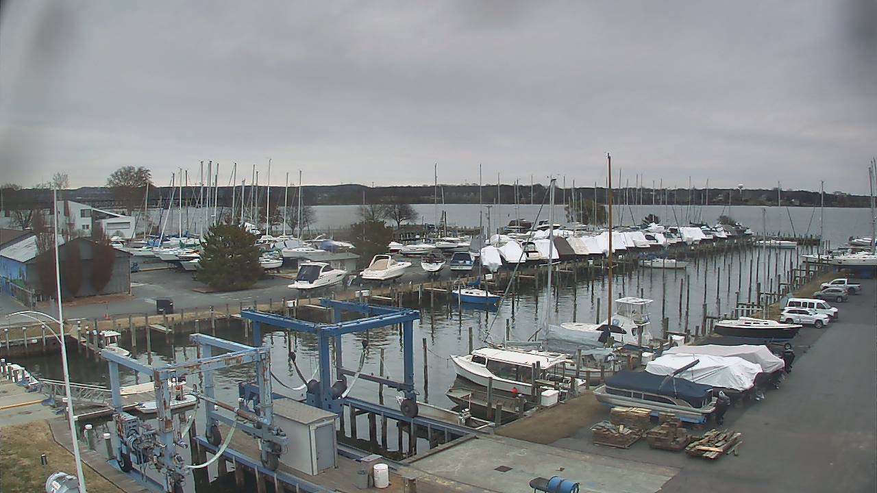 Thumbnail for current weather camera view from Tidewater Marina in Havre de Grace, Maryland