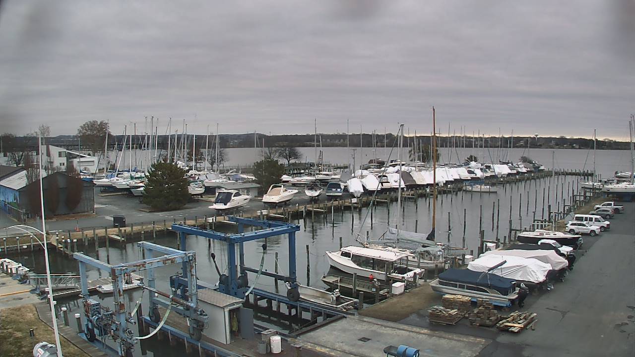 Thumbnail for current weather camera view from Tidewater Marina in Havre de Grace, Maryland