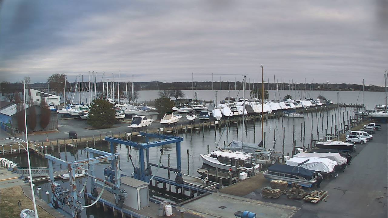 Thumbnail for current weather camera view from Tidewater Marina in Havre de Grace, Maryland