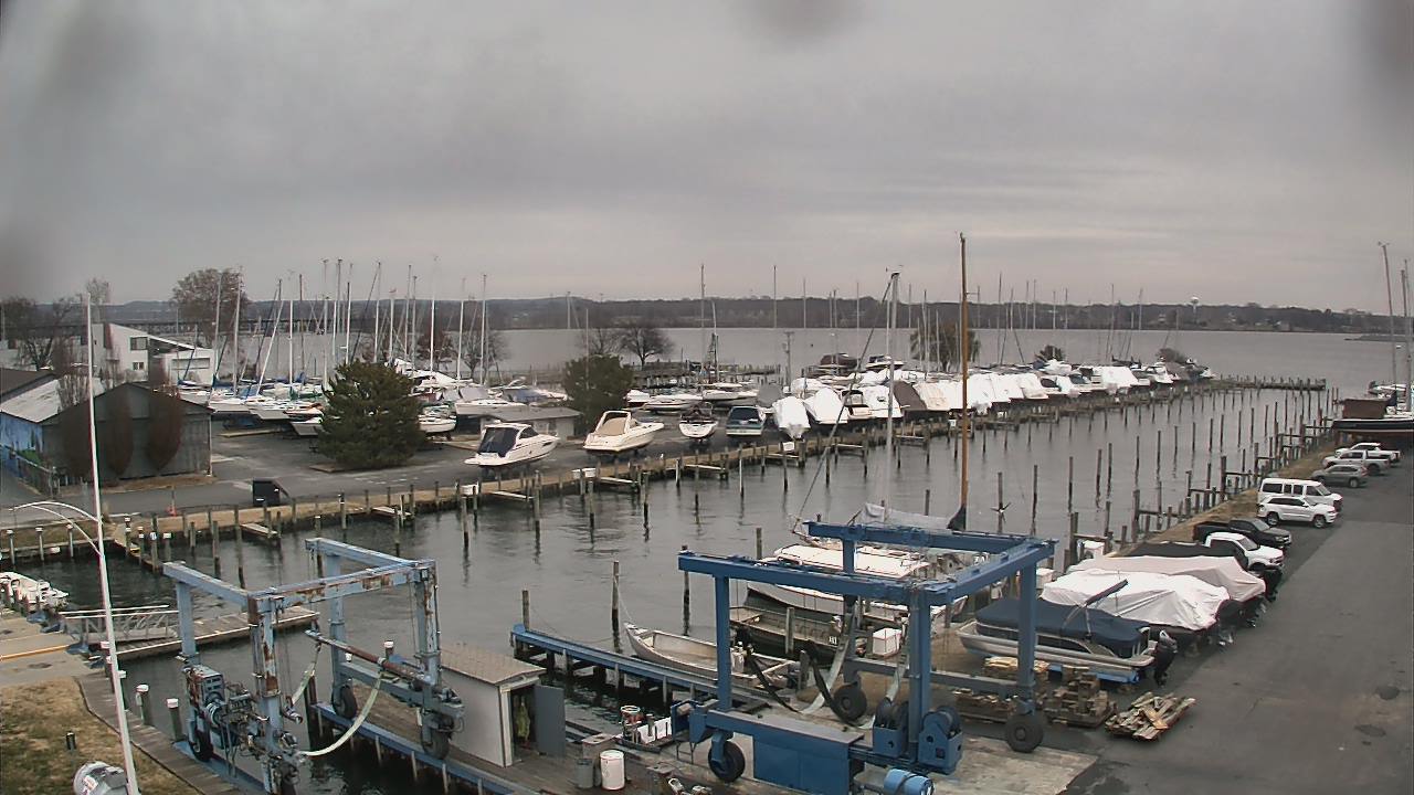 Thumbnail for current weather camera view from Tidewater Marina in Havre de Grace, Maryland