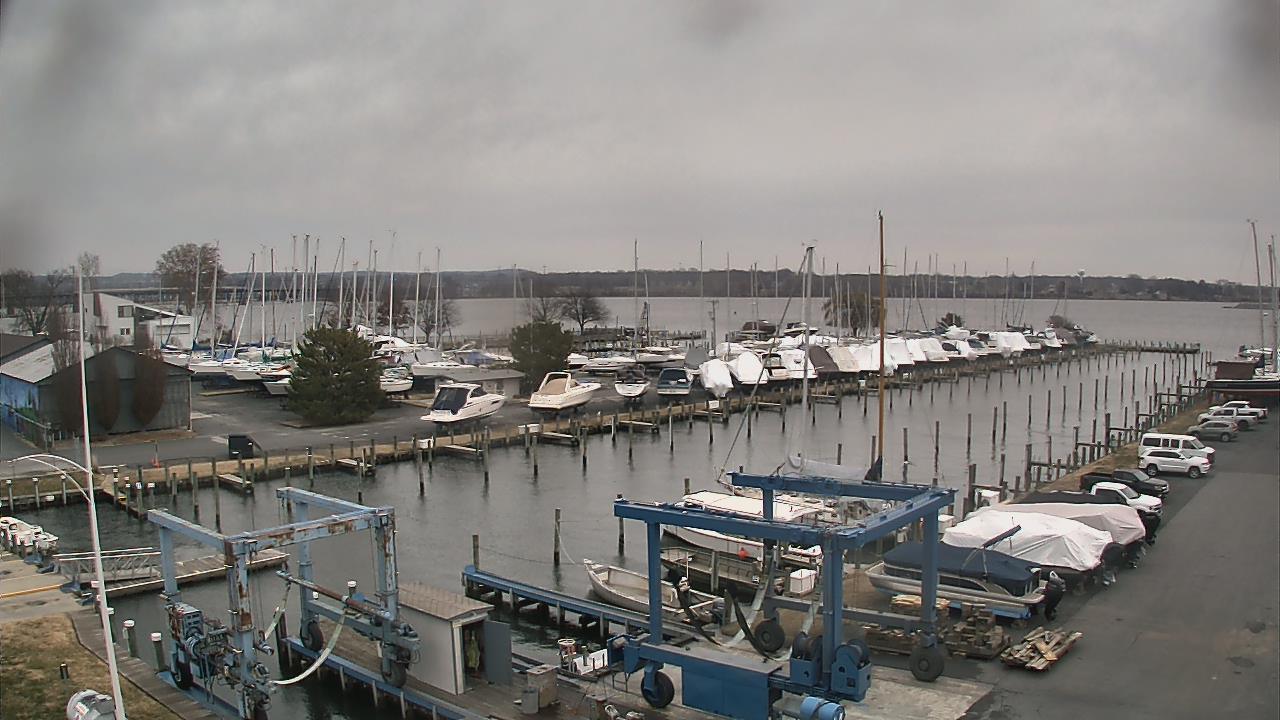 Thumbnail for current weather camera view from Tidewater Marina in Havre de Grace, Maryland