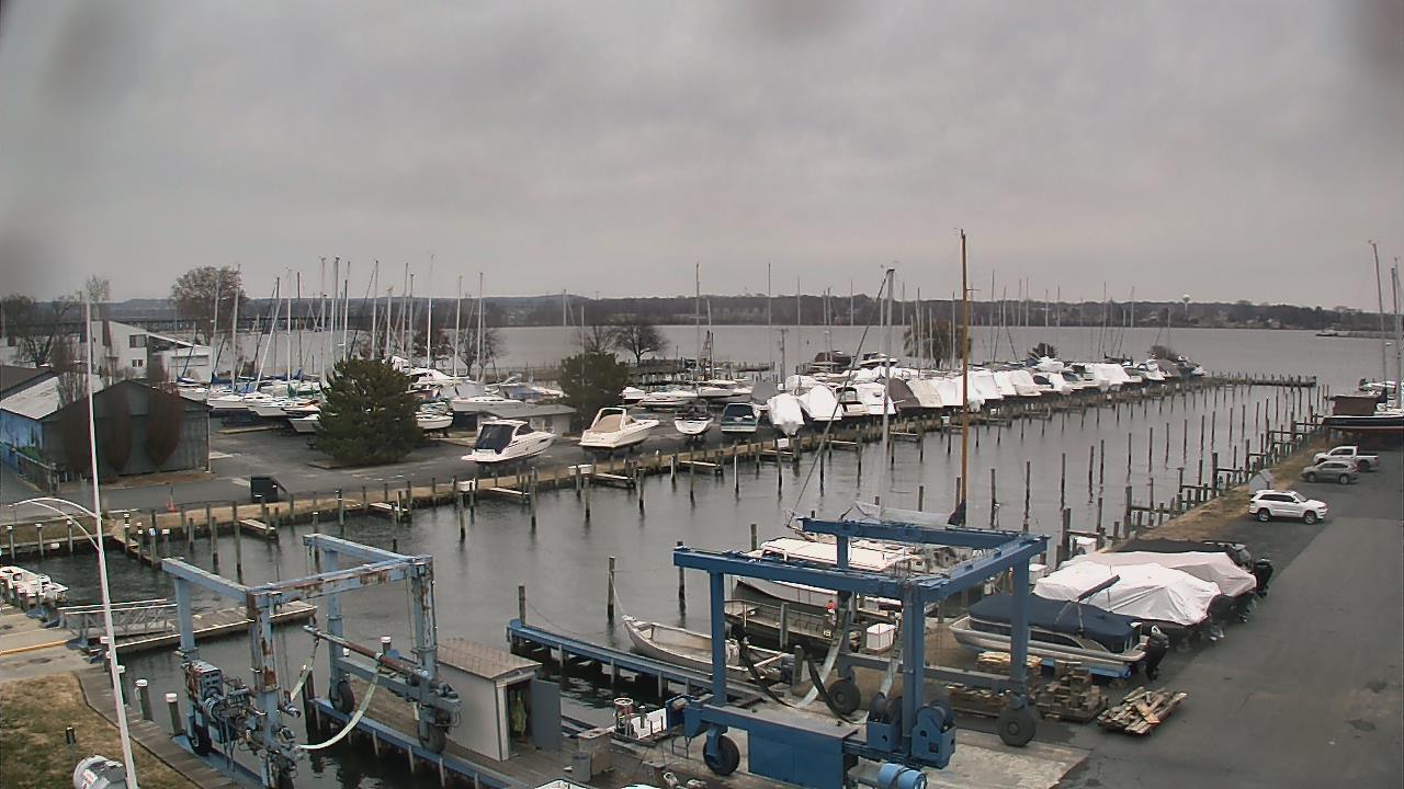 Thumbnail for current weather camera view from Tidewater Marina in Havre de Grace, Maryland