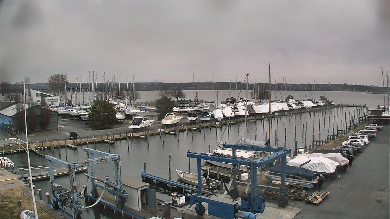 Thumbnail for current weather camera view from Tidewater Marina in Havre de Grace, Maryland