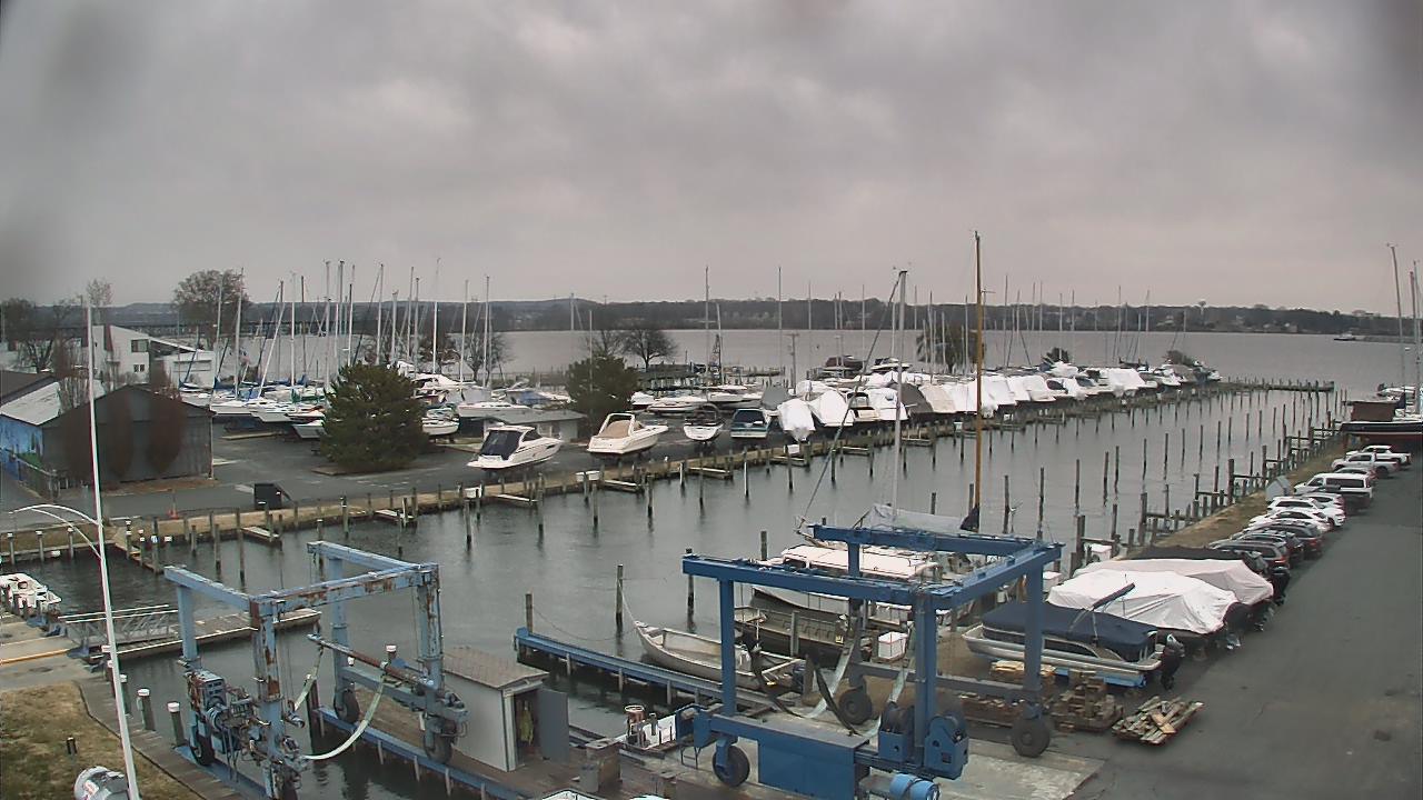 Thumbnail for current weather camera view from Tidewater Marina in Havre de Grace, Maryland